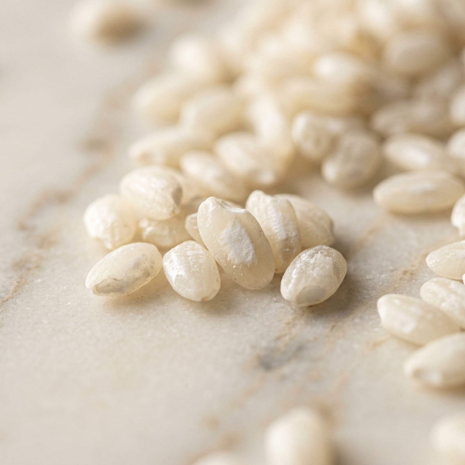 Arborio Risotto Rice — 2 lb Bag
